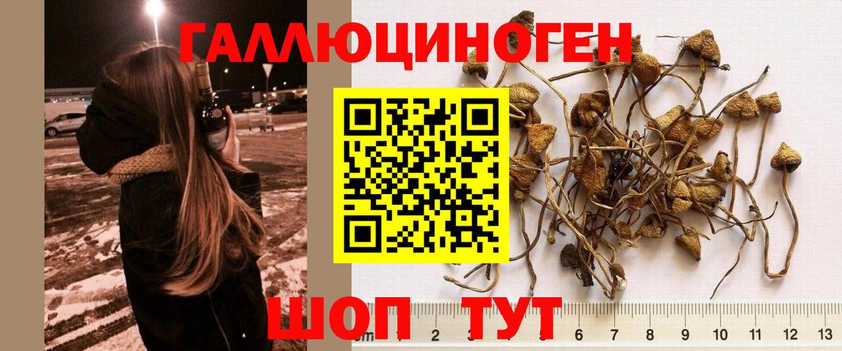 Северобайкальск  Кодеин  Вход с VPN  Гашиш  Каннабис  КОКАИН  МЕФ  