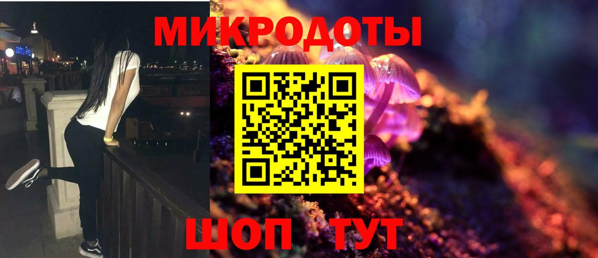 Северобайкальск  Галлюциногенные грибы MAGIC MUSHROOMS  Вход с VPN  Псилоцибиновые грибы Psilocybine cubensis 